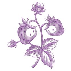 Sketched Fruits 07(Lg)