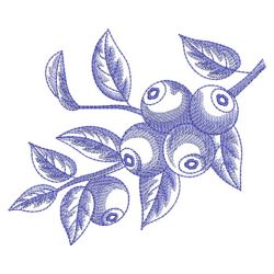 Sketched Fruits 08(Md) machine embroidery designs