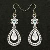 FSL Crystal Earrings 2