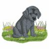 Spring Puppy 04(Lg)