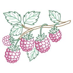 Vintage Fruit 07(Sm) machine embroidery designs