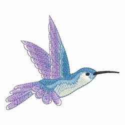 Hummingbirds 04