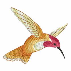 Hummingbirds 10 machine embroidery designs