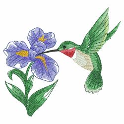 Watercolor Hummingbird And Flowers 2 09(Lg)