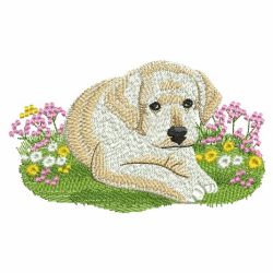 Spring Puppy 06(Lg)