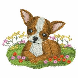 Spring Puppy 07(Lg)