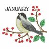 Monthly Birds(Sm)