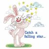 Catch a Falling Star 2(Lg)