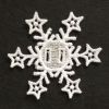 3D FSL Snowflakes 06