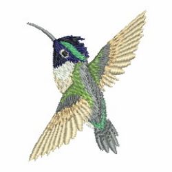 Hummingbirds 2 03 machine embroidery designs