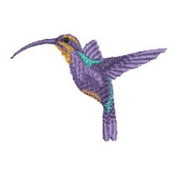 Hummingbirds 2 08 machine embroidery designs