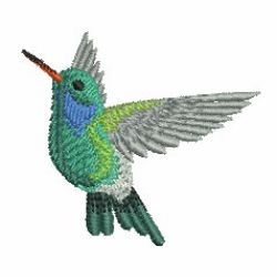 Hummingbirds 2 10 machine embroidery designs