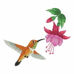 Watercolor Hummingbird And Flowers 3 01 machine embroidery designs