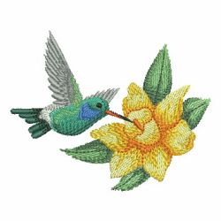 Watercolor Hummingbird And Flowers 3 10 machine embroidery designs