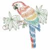 Vintage Parrots(Lg)