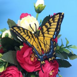Eastern Tiger Swallowtail machine embroidery designs