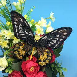 Ornithoptera Croesus Helios