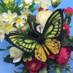 Ornithoptera Euphorion machine embroidery designs