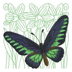 Butterfly And Blooms 3 08