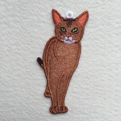 FSL Realistic Cat 07 machine embroidery designs