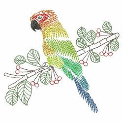 Vintage Parrots 07(Md) machine embroidery designs
