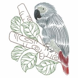 Vintage Parrots 08(Lg) machine embroidery designs