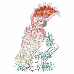 Vintage Parrots 09(Md) machine embroidery designs