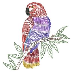Vintage Parrots 10(Md) machine embroidery designs