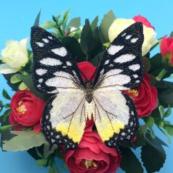 Charaxes Butterfly machine embroidery designs