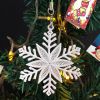 FSL Snowflakes 12 05