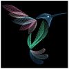 Rippled Hummingbirds 4 07(Sm)