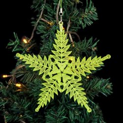 FSL Star Ornaments 2 09