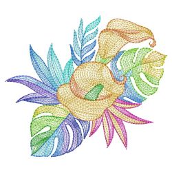 Tropical Dream 02(Md)
