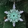 FSL Snowflakes 16 07