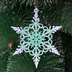 FSL Snowflakes 16 04