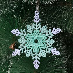 FSL Snowflakes 16 07