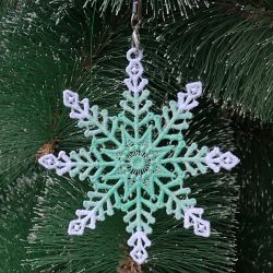 FSL Snowflakes 16 09