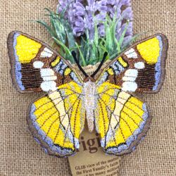 FSL Realistic Butterfly 7 07 machine embroidery designs