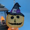 FSL Halloween Ornaments 6 04