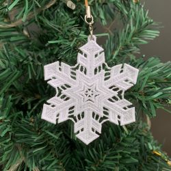 FSL Snowflakes 17 06