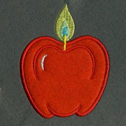 Applique 002 05