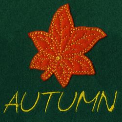 Applique 004 08 machine embroidery designs