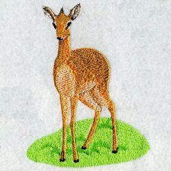 Realistic 001 01 machine embroidery designs