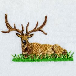 Realistic 017 02 machine embroidery designs