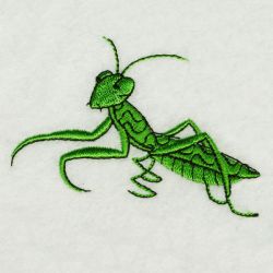 Realistic 037 08 machine embroidery designs