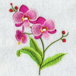 Floral 006 03 machine embroidery designs