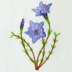 Floral 017 09 machine embroidery designs