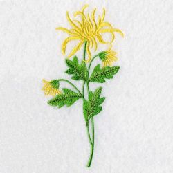 Floral 033 05 machine embroidery designs