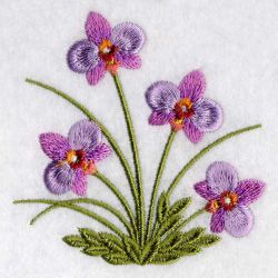 Floral 038 09 machine embroidery designs