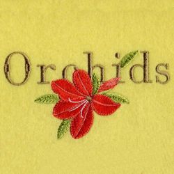 Floral 040 02 machine embroidery designs